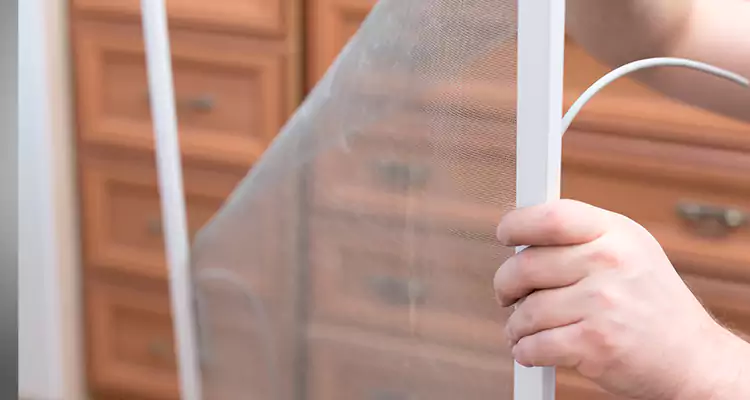 Privacy Mesh Screen Door Installation in Union City, CA