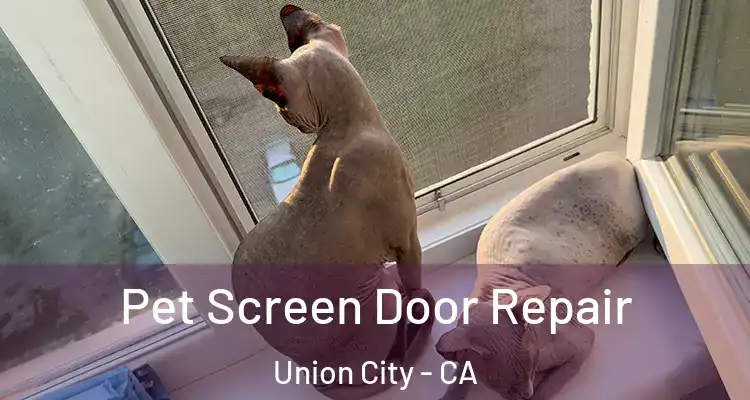  Pet Screen Door Repair Union City - CA