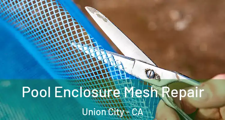  Pool Enclosure Mesh Repair Union City - CA